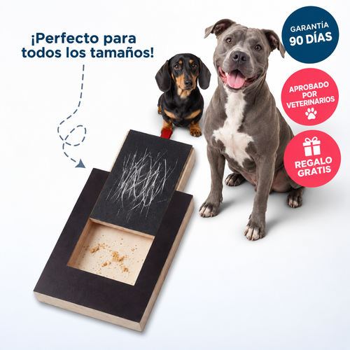 Pawgrind™ | Tabla de Uñas Sin Estrés
