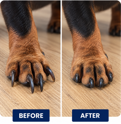 Pawgrind™ | Tabla de Uñas Sin Estrés